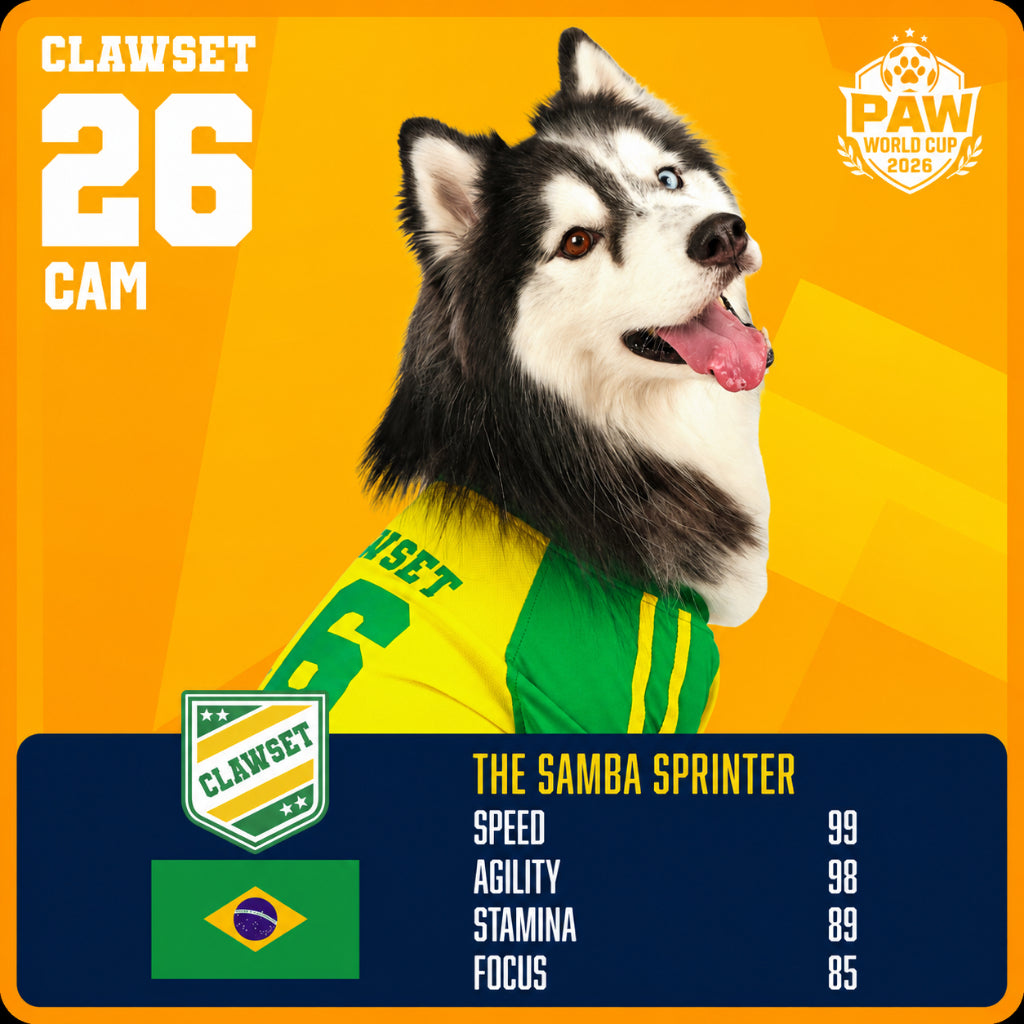 CLAWSET Studio® | PAW WORLD CUP 2026 -BRAZIL เสื้อฟุตบอลสัตว์เลี้ยงทีมชาติบราซิล