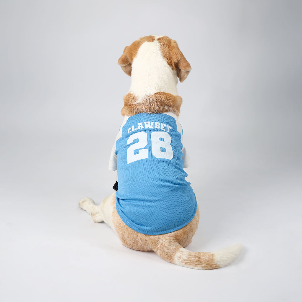 CLAWSET Studio® | PAW WORLD CUP 2026 -ARGENTINA เสื้อฟุตบอลสัตว์เลี้ยงทีมชาติอาร์เจนติน่า