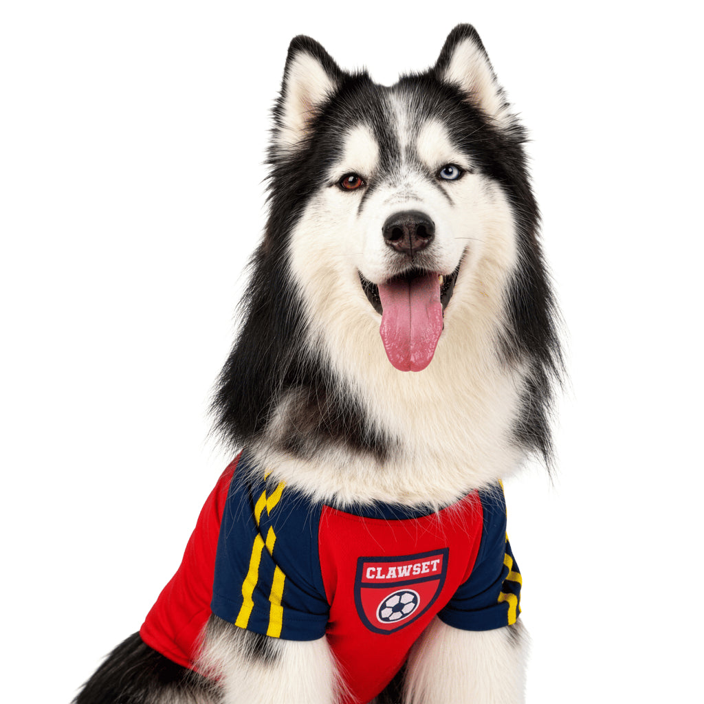 CLAWSET Studio® | PAW WORLD CUP 2026 -SPAIN เสื้อฟุตบอลสัตว์เลี้ยงทีมชาติสเปน