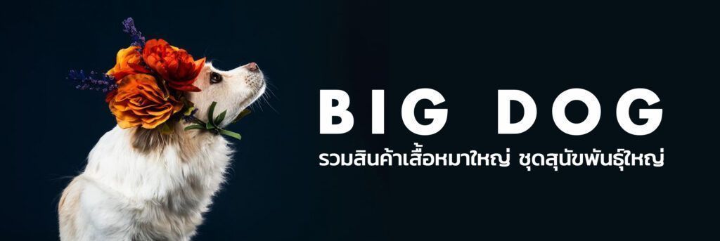 รวมสินค้าเสื้อหมาใหญ่ ชุดสุนัขพันธุ์ใหญ่
