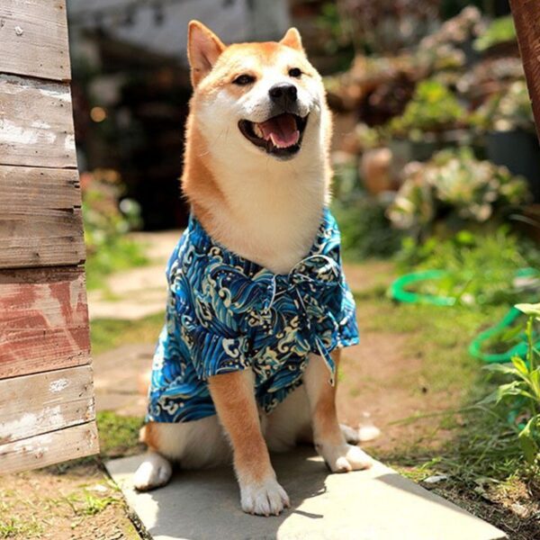 เสื้อหมา - เสื้อหมาฮาวายฤดูร้อน