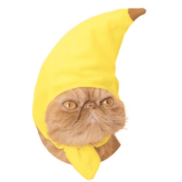 BP1214-07-pet-hat-banana