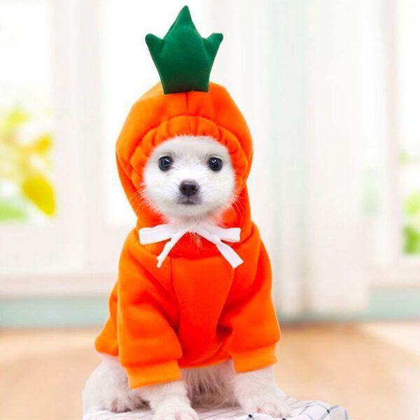 BP1394-banana-fruit-costume-dog