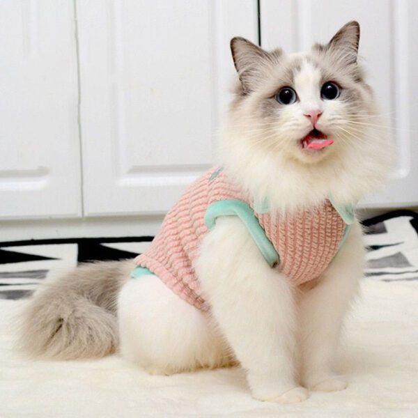 BP1550-warm-pullover-collar-cat
