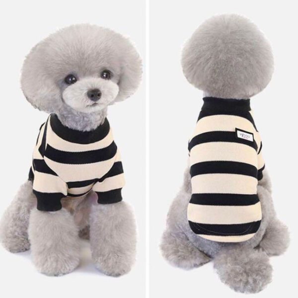 BP1625-colour-bright-sweater-dog