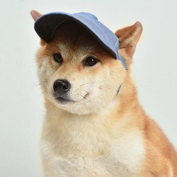 BP1695-summer-sport-hat-dog