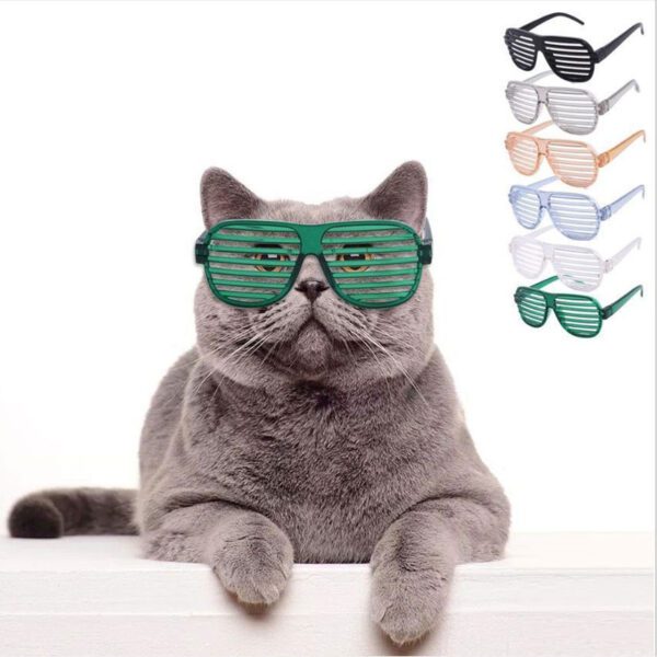 BP1702-summer-smart-glasses-cat