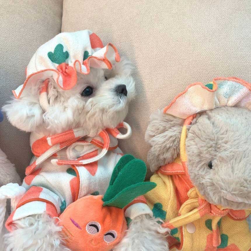 BP1713-cute-carrot-pajamas-dog