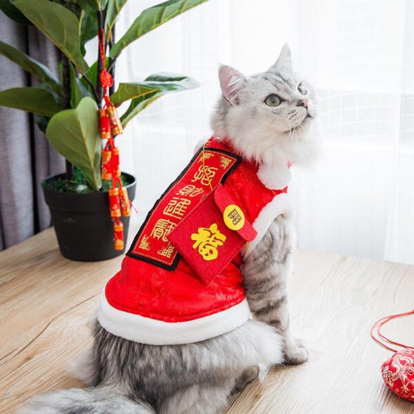 SSP-05-fashion-chinese-coat-cat