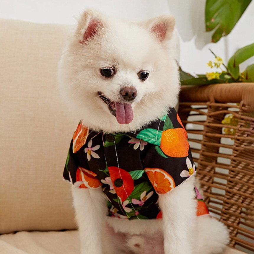 BP1765-summer-hawaii-shirt-dog