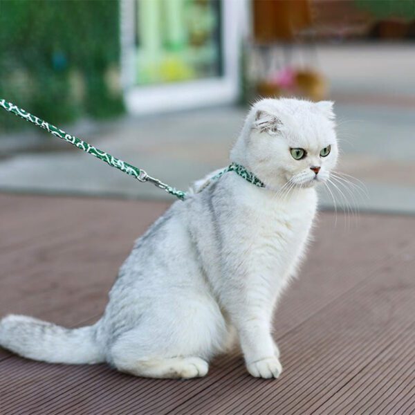 SHL-13-japanese-h-harness-for-cat