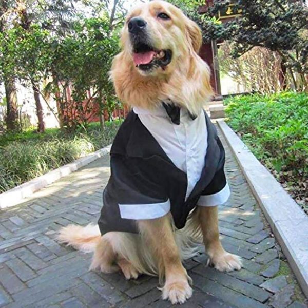 BP1077-tuxedog-suit