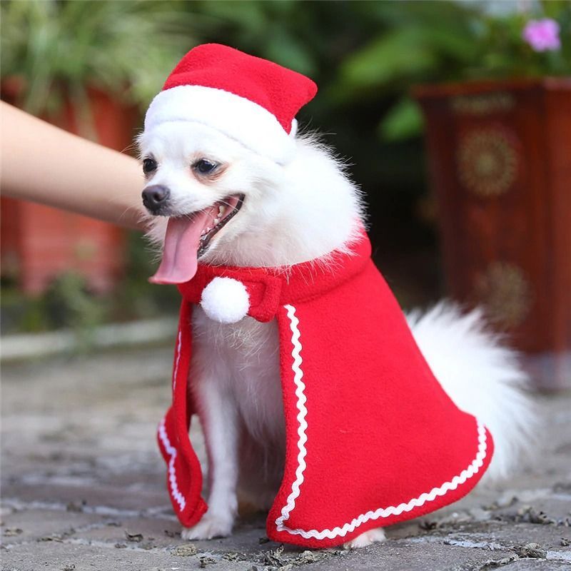 SCK-13-pet-xmas-3pcs-set