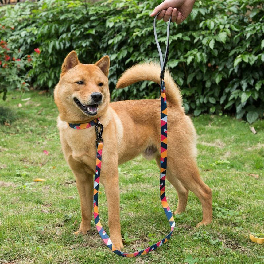 SCL-02-summer-colourful-leash-dog-cat