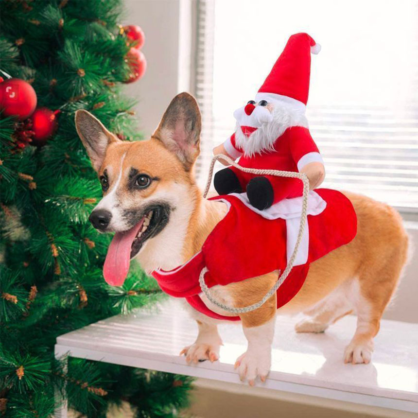 SCS-22-santa-riding-costume-dog