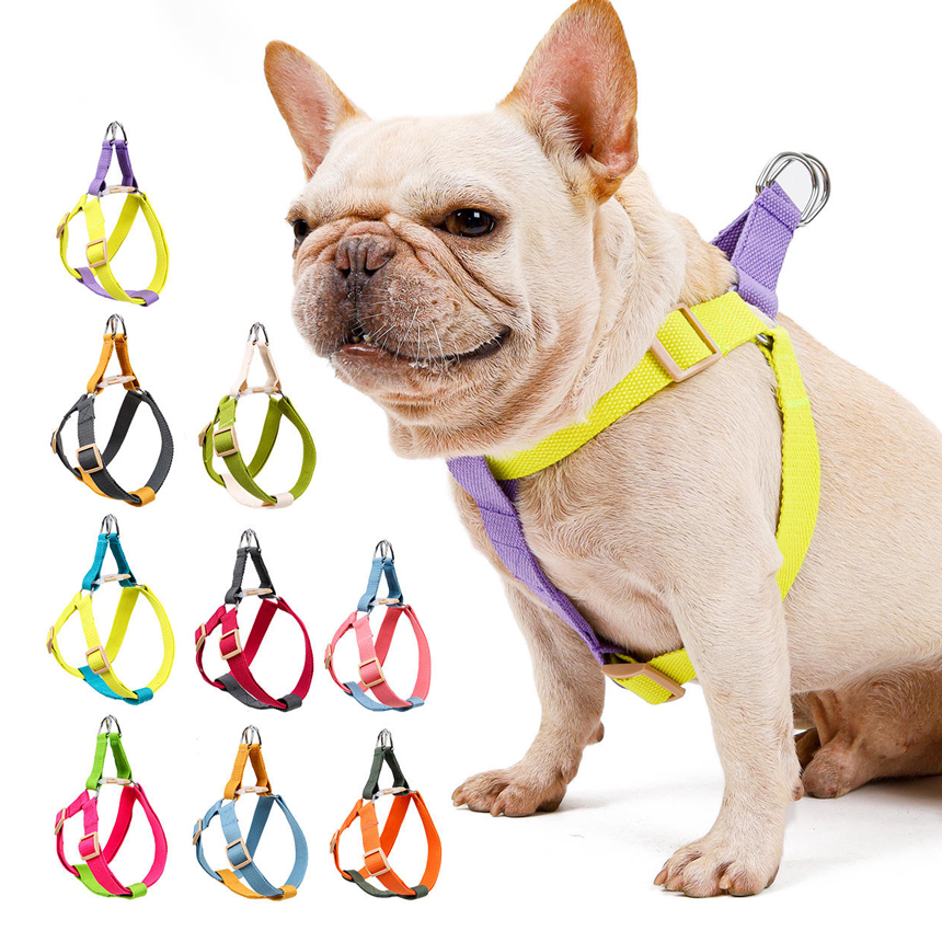 SHL-03-funny-harness-leash-dog