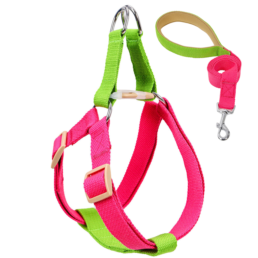 SHL-03-funny-harness-leash-dog