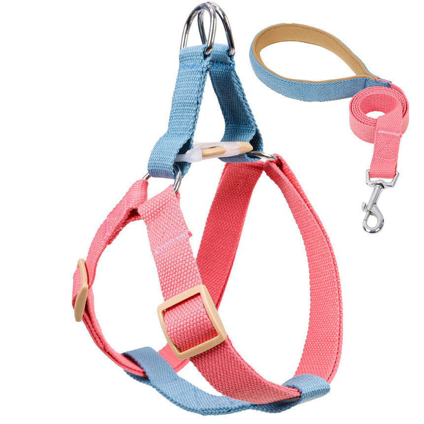 SHL-03-funny-harness-leash-dog