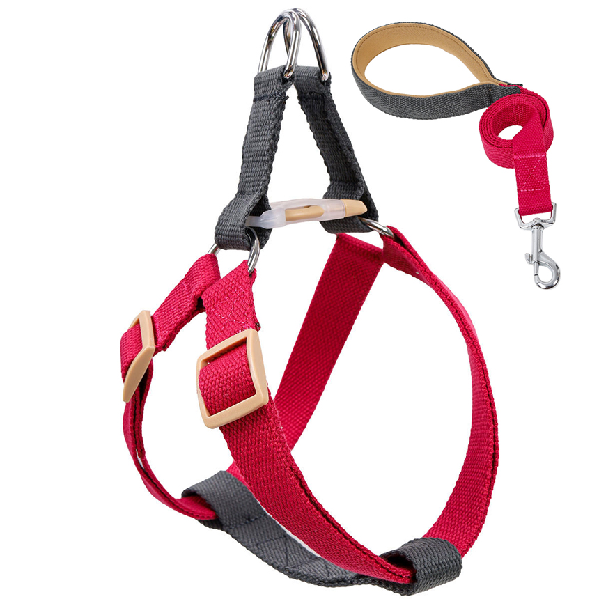 SHL-03-funny-harness-leash-dog