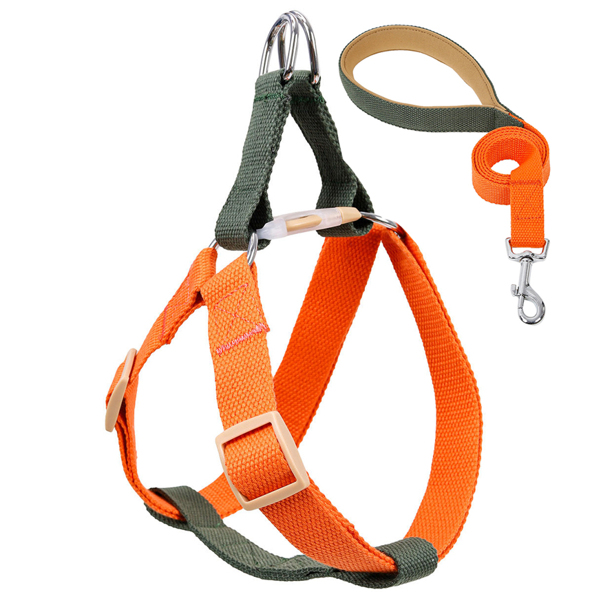 SHL-03-funny-harness-leash-dog