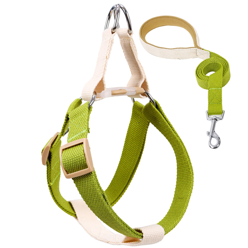 SHL-03-funny-harness-leash-dog