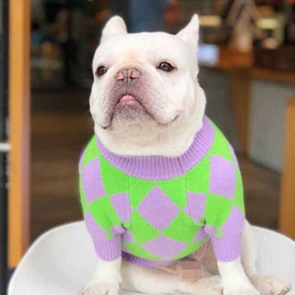 SKW-15-pretty-autumn-sweater-dog