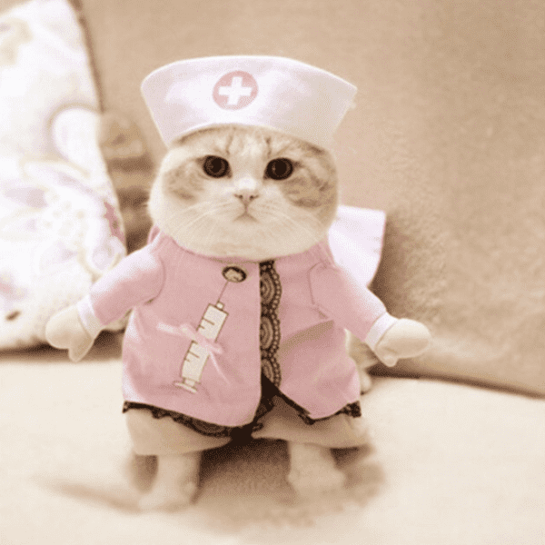 ชุดหมาแมวแฟนซี - คอสตูมพยาบาล