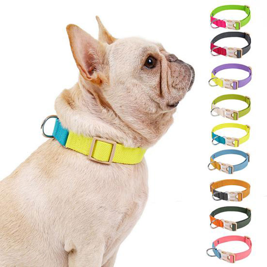 SCL-06-collar-leash-set