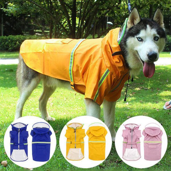 SRC-04-big-dog-raincoat