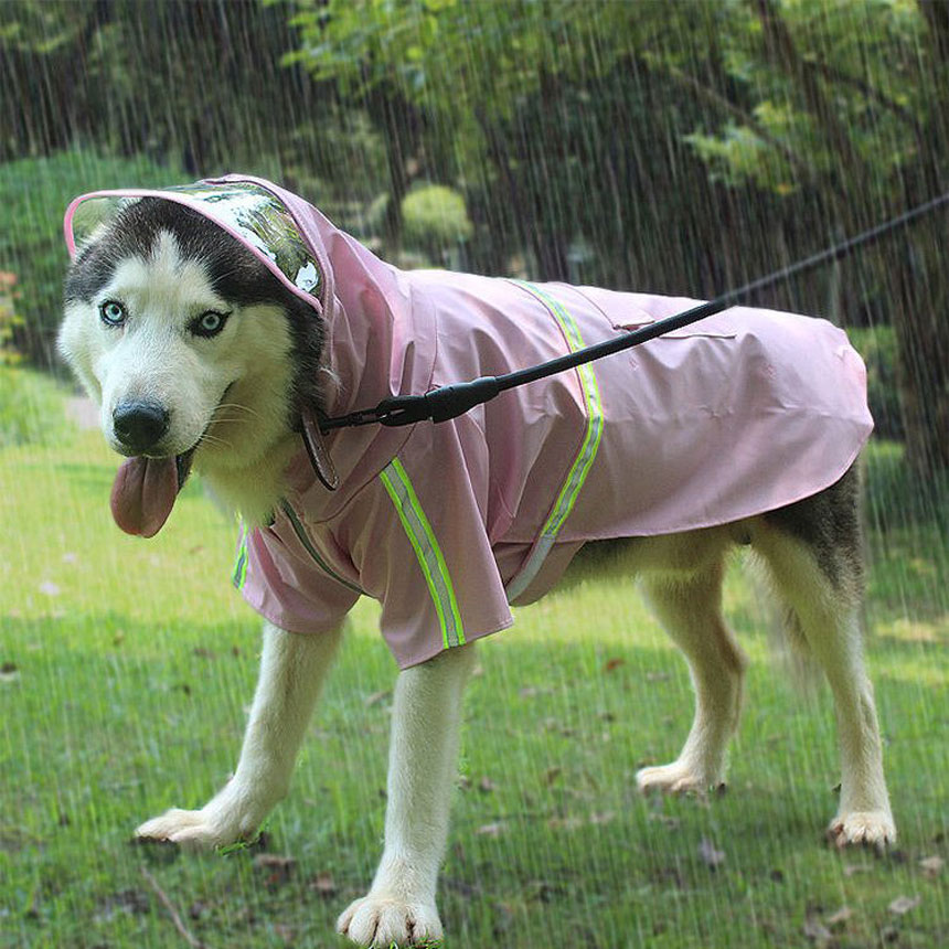 SRC-04-big-dog-raincoat