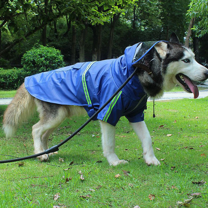 SRC-04-big-dog-raincoat