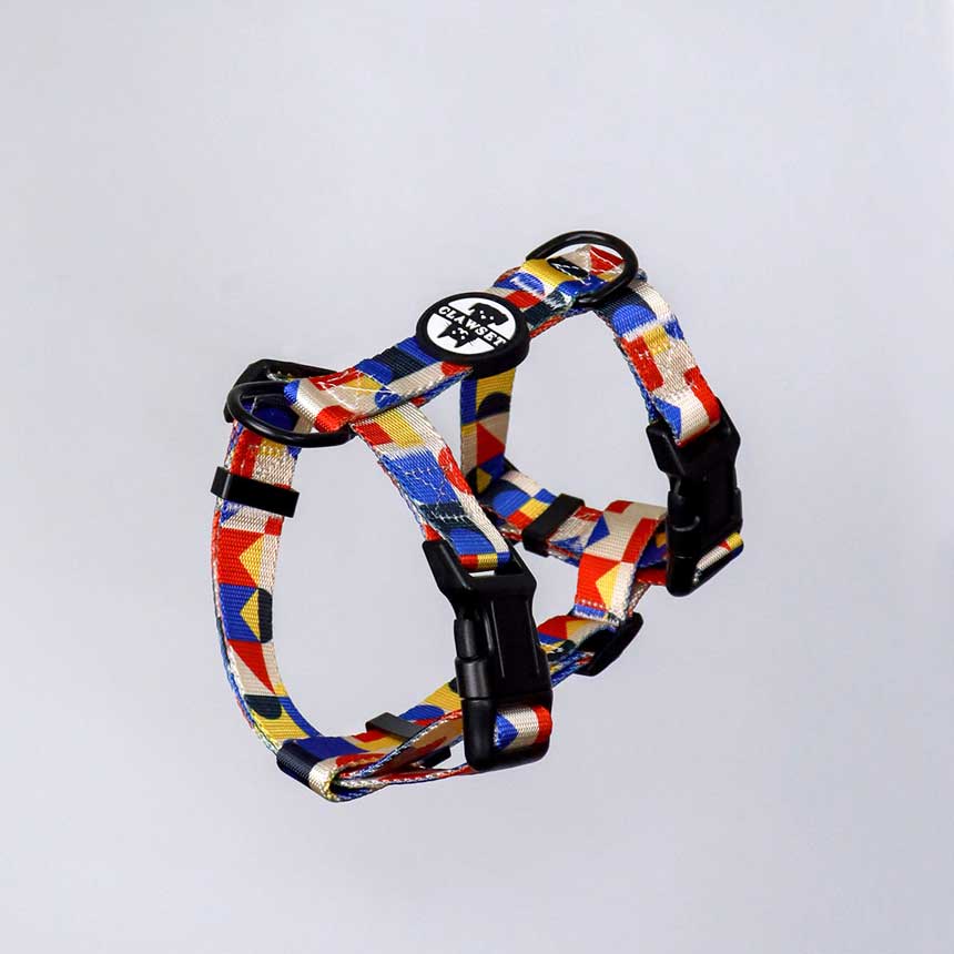 OHL-01-run-run-harness-leash