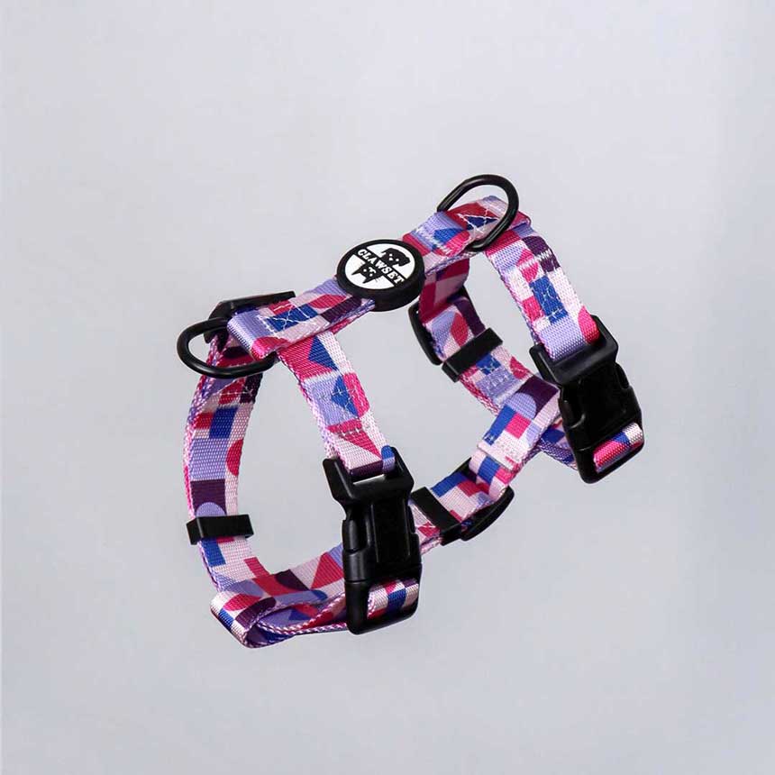 OHL-01-run-run-harness-leash