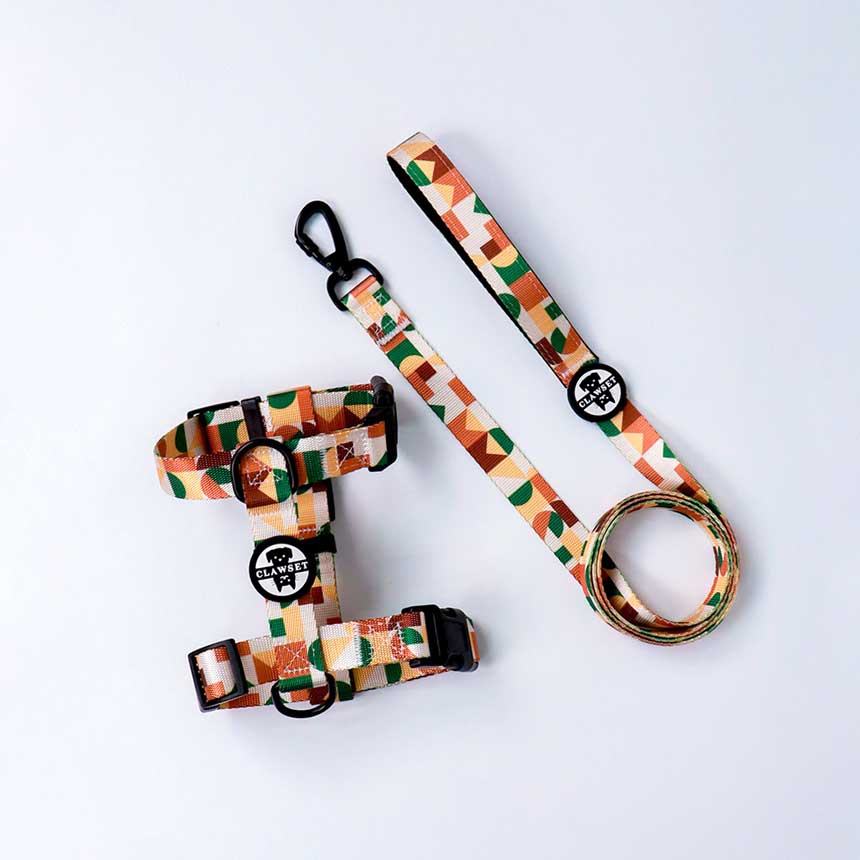 OHL-01-run-run-harness-leash