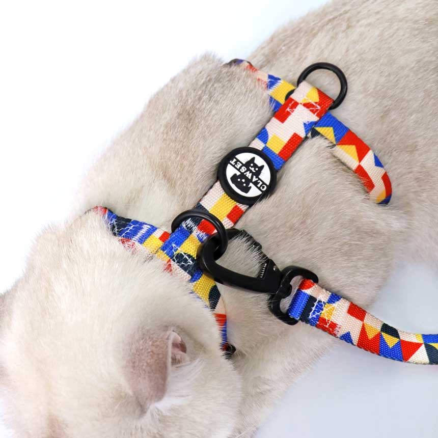 OHL-01-run-run-harness-leash