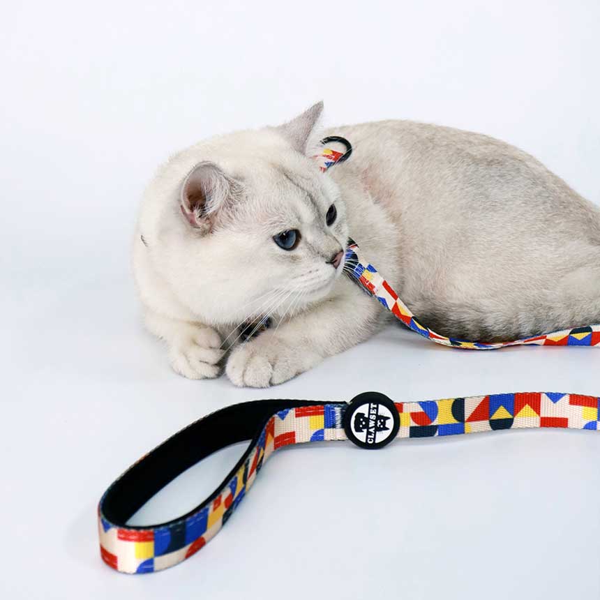 OHL-01-run-run-harness-leash