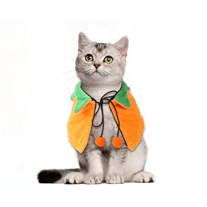 SCK-06-pumpkin-pet-cloak-halloween