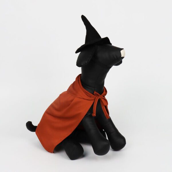 SCK-07-little-witch-costume-for-halloween