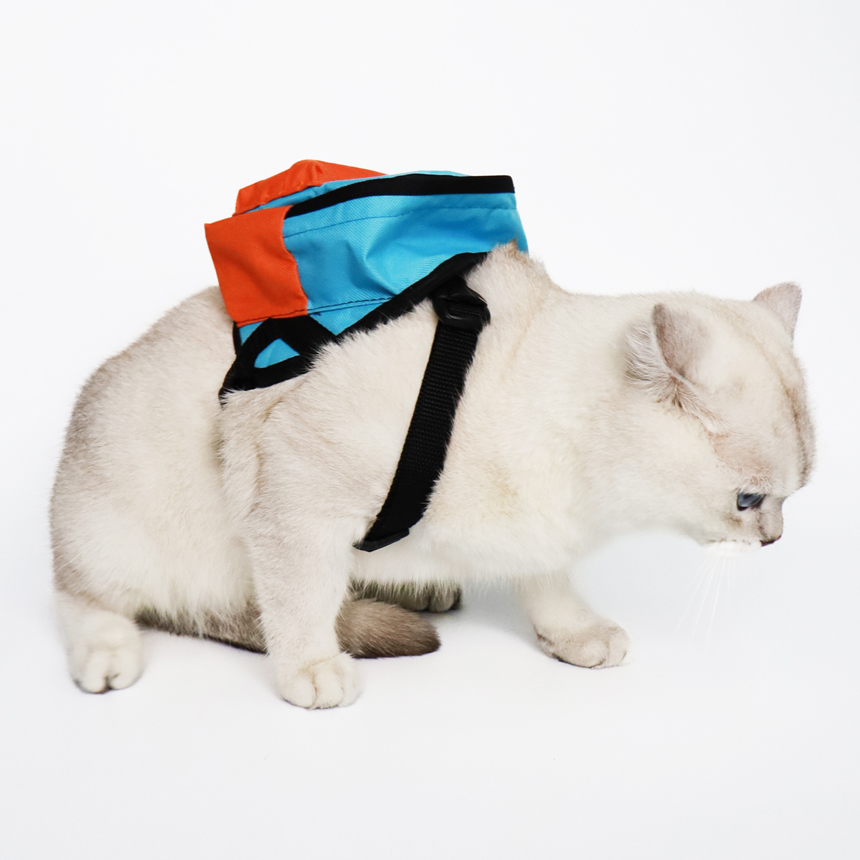 OBG-01-clawsetbkk-richybag-leash-set