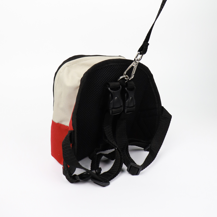 OBG-01-richybag-leash-set