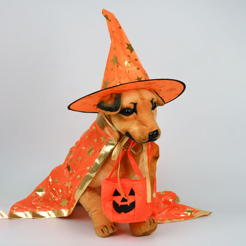 SCK-10-halloween-costume-the-witch-big-size