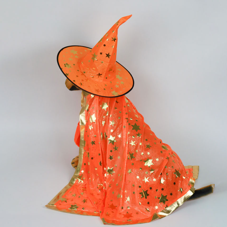 SCK-10-halloween-costume-the-witch-big-size