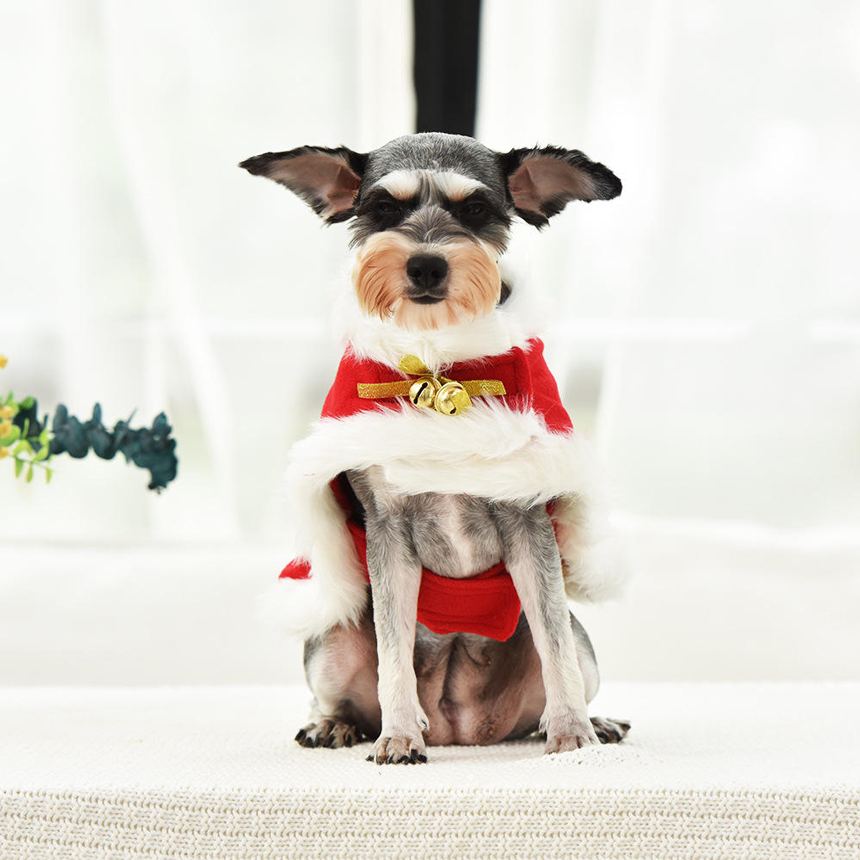 SCK-12-pet-xmas-cloak-with-bells