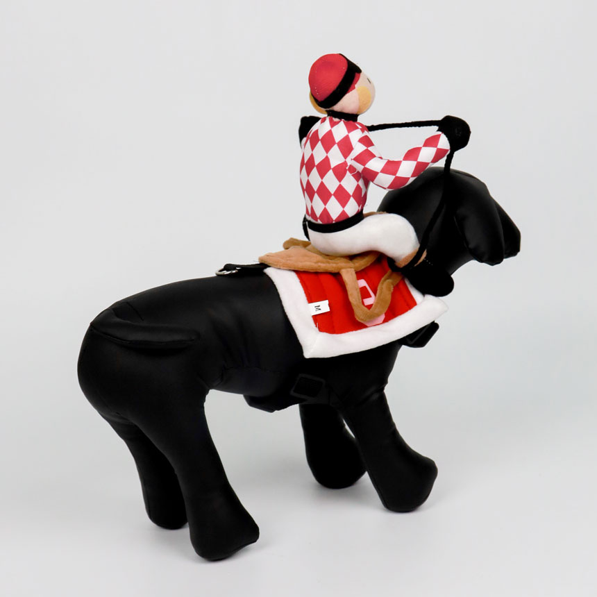 SCS-01-dog-rider-costume