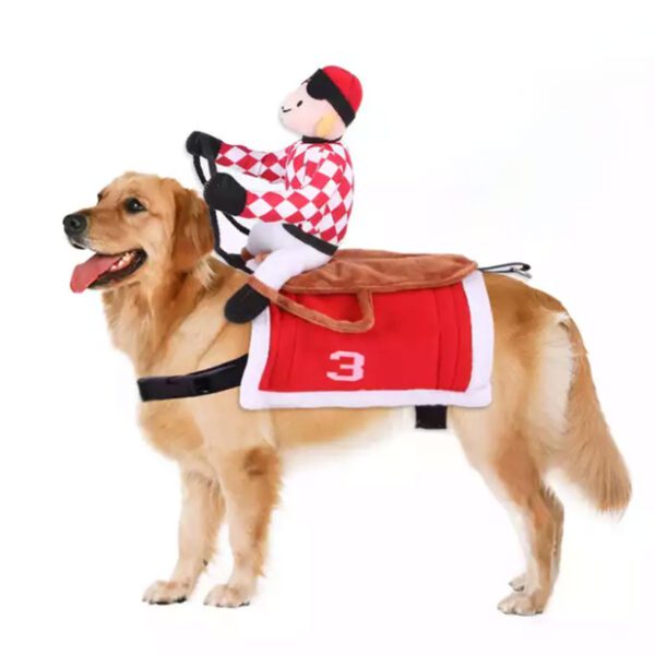 SCS-01-dog-rider-costume
