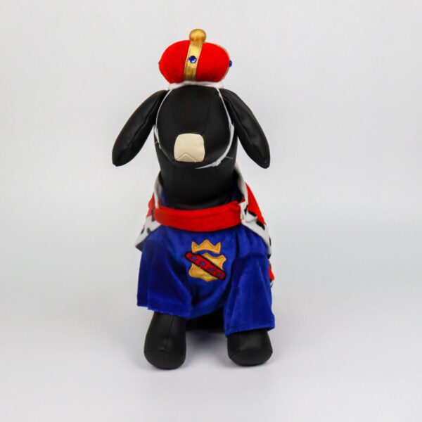 SCS-07-wannabe-king-cosplay-pet-costume