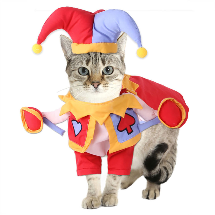 SCS-17-joker-pet-costume