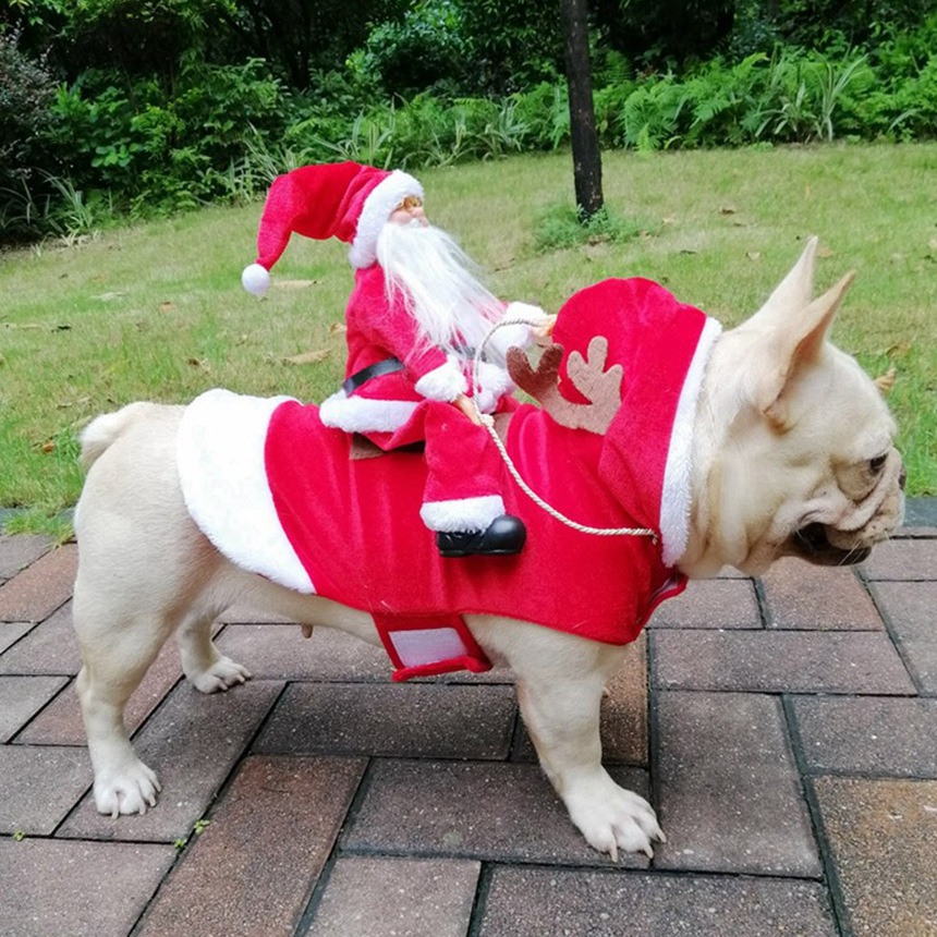 SCS-39-sending-gift-santa-costume-for-pet