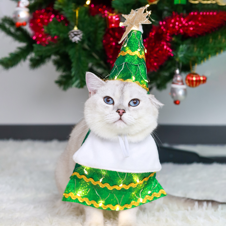 OCS-05-christmas-tree-costume-with-light