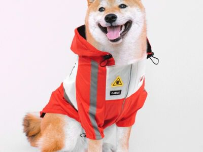 เสื้อกันฝนน้องหมา
